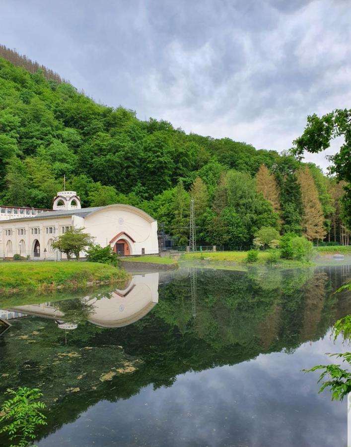 Sterneneifel